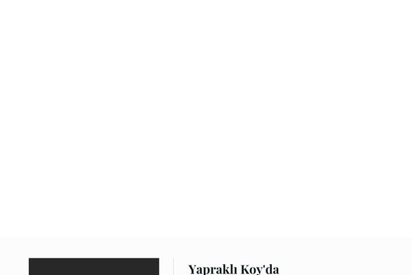 Site using LayerSlider plugin