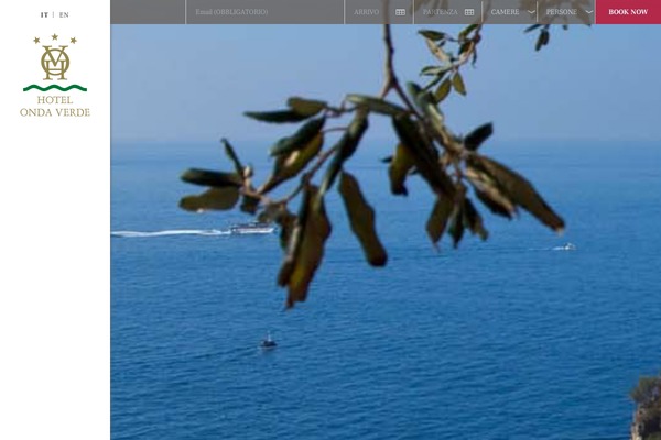 Roots theme site design template sample