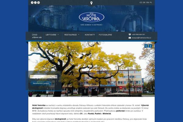 Nice Hotel theme site design template sample