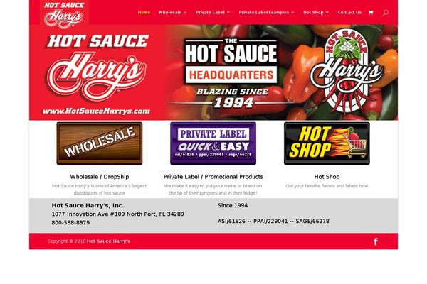 Divi-child-theme-master theme site design template sample
