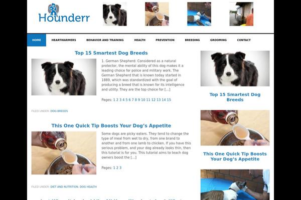 News theme site design template sample