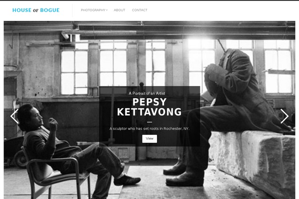 Fluxus theme site design template sample