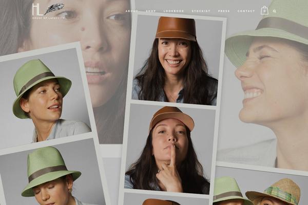 Bridge theme site design template sample