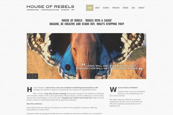 Site using Brankic Social Media Widget plugin