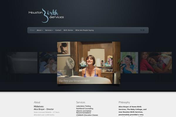 Envisioned theme site design template sample