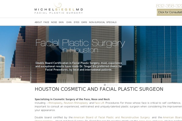 hf-theme theme websites examples