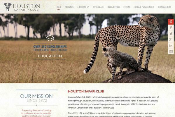 Site using Wp-posts-pro plugin