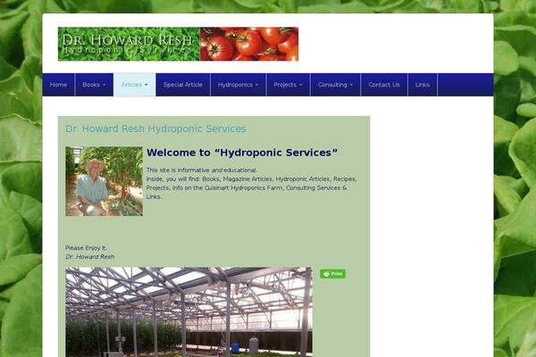 Site using Google AdSense plugin