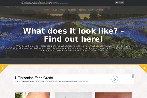 Alizee theme site design template sample