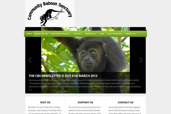 NonProfit theme site design template sample