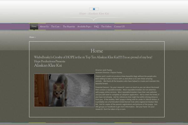 Magnificent theme site design template sample