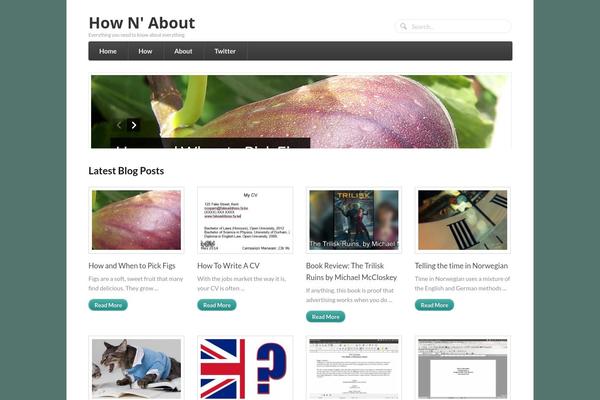 Function theme site design template sample