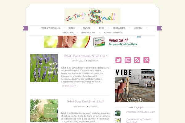 Sugar and Spice theme site design template sample