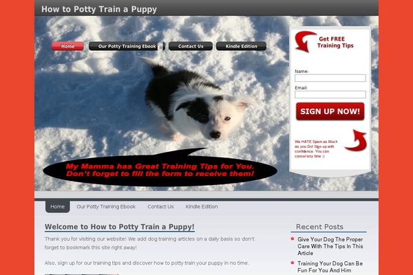 RockStarBizTheme-v1-8 theme websites examples