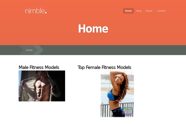 Nimble theme site design template sample