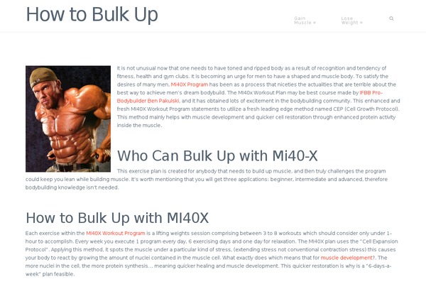 Site using All In One Schema.org Rich Snippets plugin