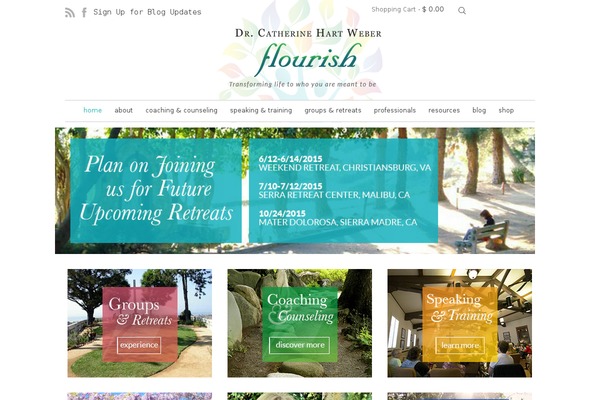 Idstore theme site design template sample