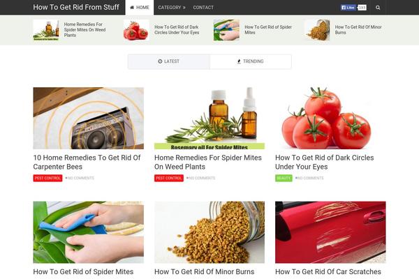 NewsPaper theme site design template sample
