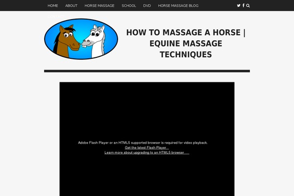 Wentasi theme site design template sample