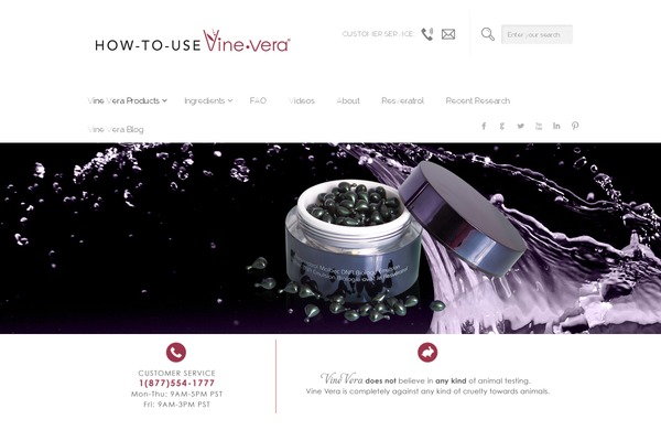 Brandon theme site design template sample