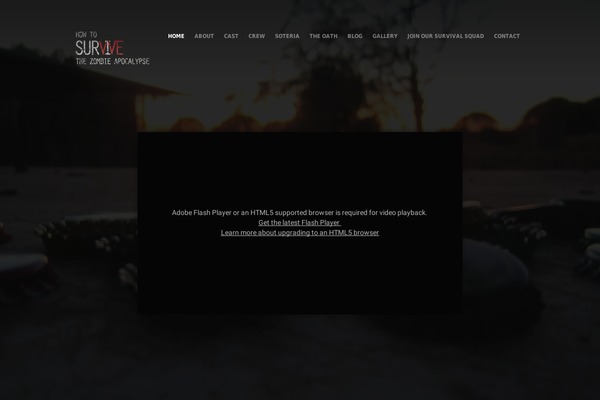 Producer theme site design template sample