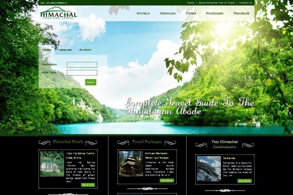 Site using Leadin plugin