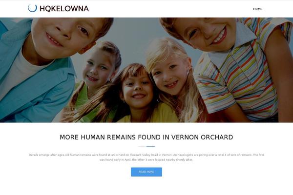 Site using Wp-author-date-and-meta-remover plugin