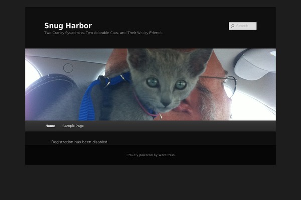 Basic theme site design template sample