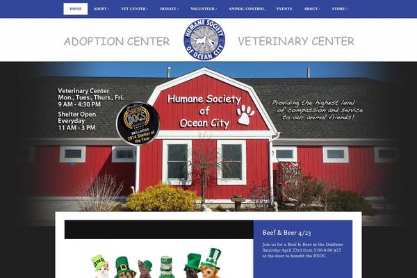 Tsm-theme-1 theme site design template sample