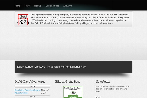 Divi theme site design template sample