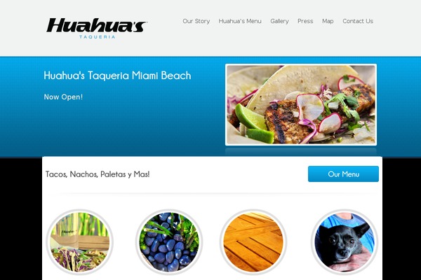 Poloray theme site design template sample
