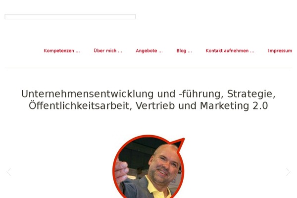 Wellington theme site design template sample