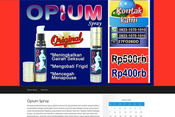 Retina theme site design template sample