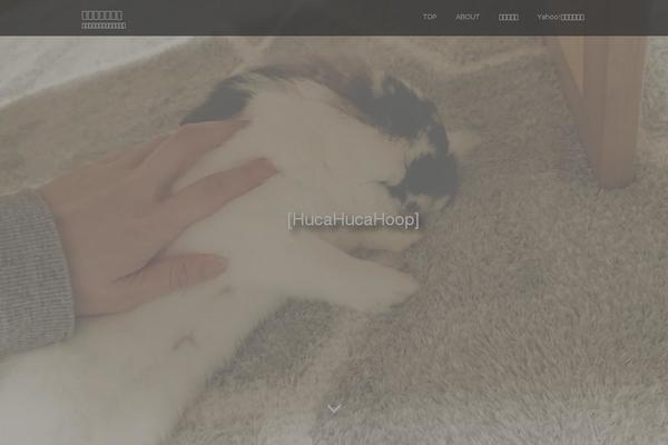 hucahucahoop.com site used Amore_tcd028