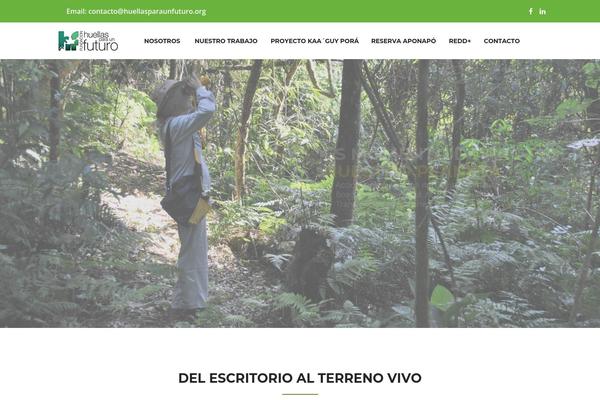 Envit theme site design template sample