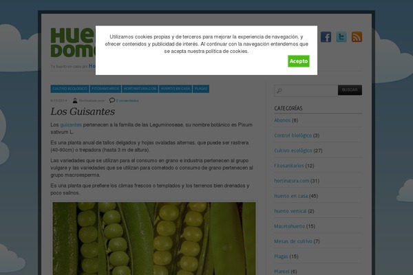 Simplo theme site design template sample