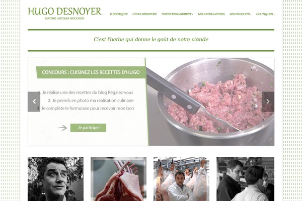 Adapt theme site design template sample