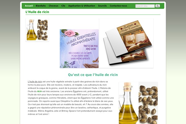 Aspen theme site design template sample