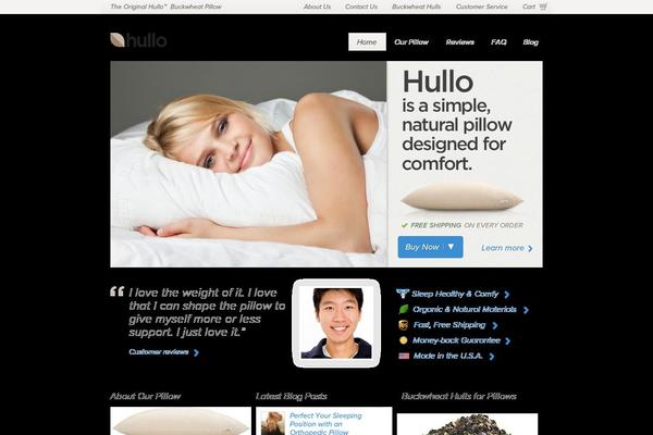 hullo theme websites examples