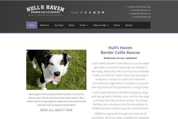 hullshaven.org site used Bizleaders