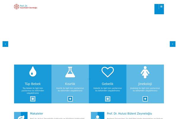 hulusizeyneloglu.com site used Clinico
