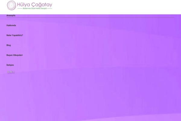 Site using Chaty plugin