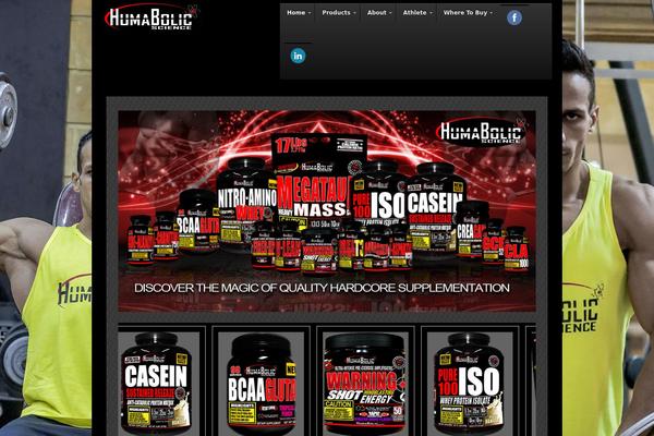 Swagger theme site design template sample