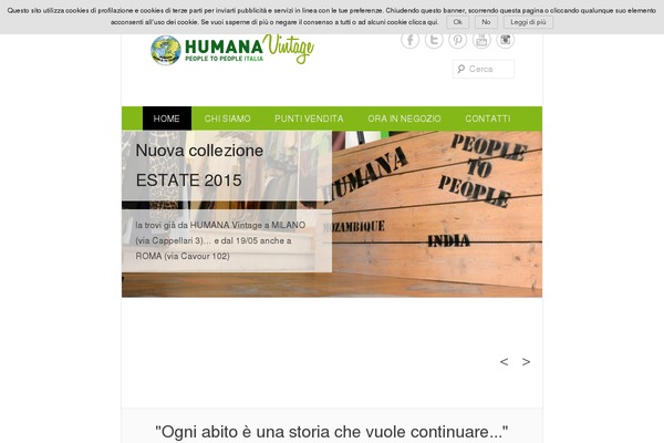 Catch Everest theme site design template sample