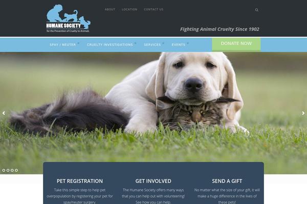 Advocator theme site design template sample
