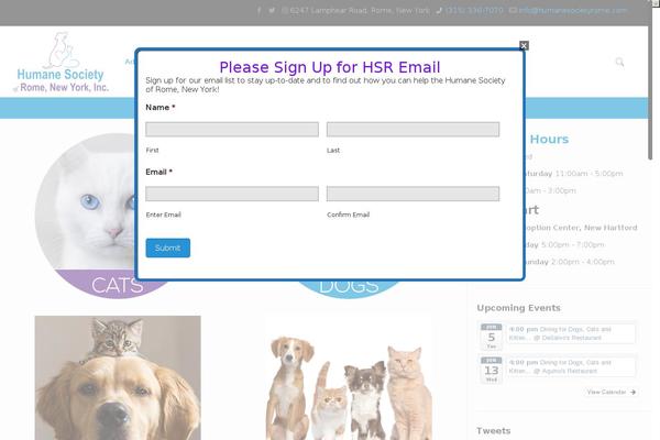 Site using New-social-media-widget plugin