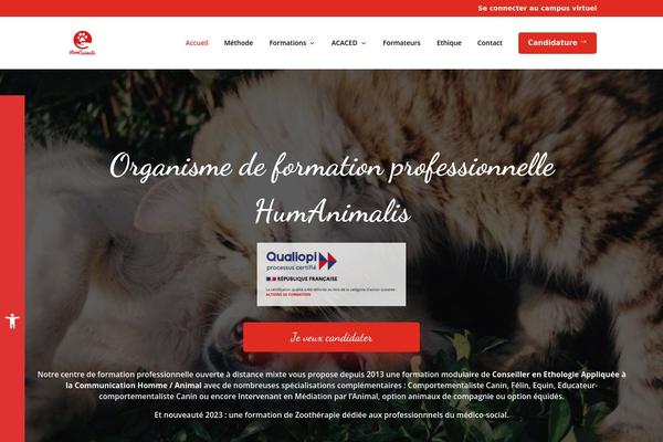 Site using Divi-pixel plugin
