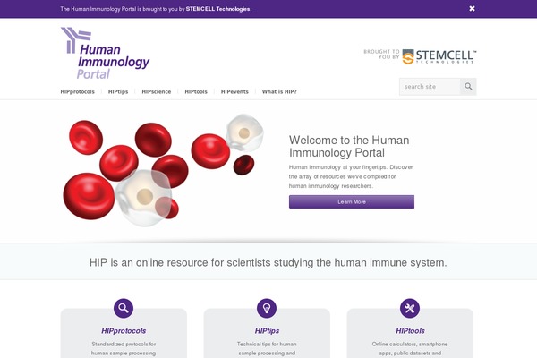 Choices theme site design template sample