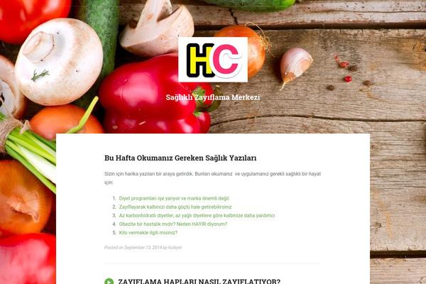Padhang theme site design template sample