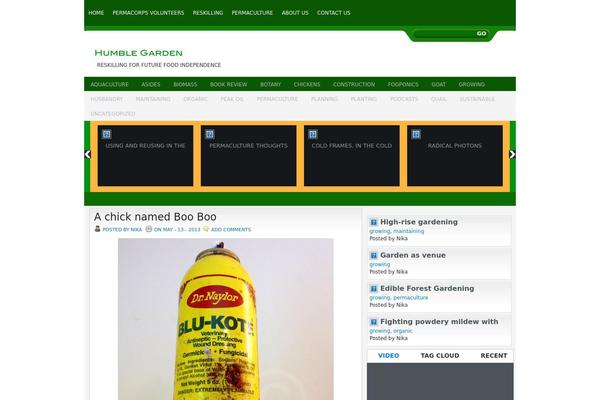 Scarlett theme site design template sample